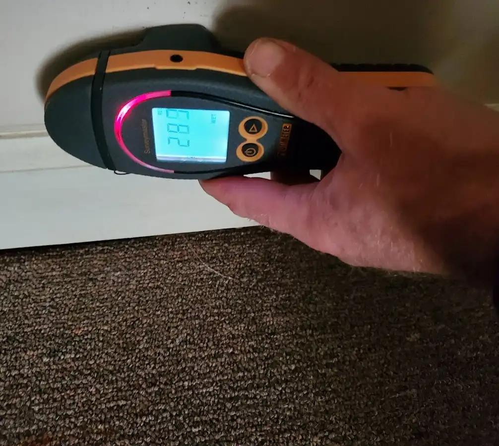 Moisture detection at baseboard during Sewage Cleanup & Sanitation in Alexander City